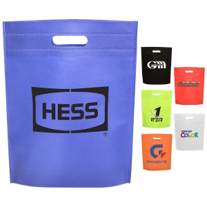 Non Woven Gift Bag